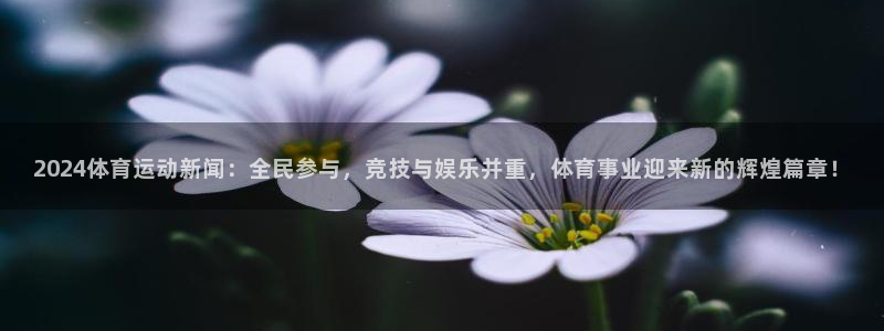 球进体育官方网站入口