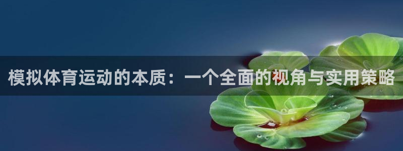 球进体育官方网站入口