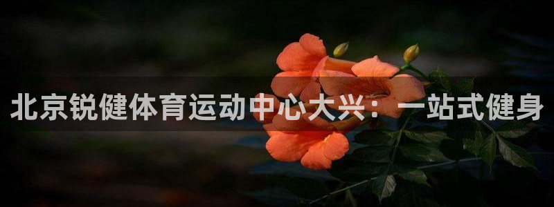球进体育APP下载安装