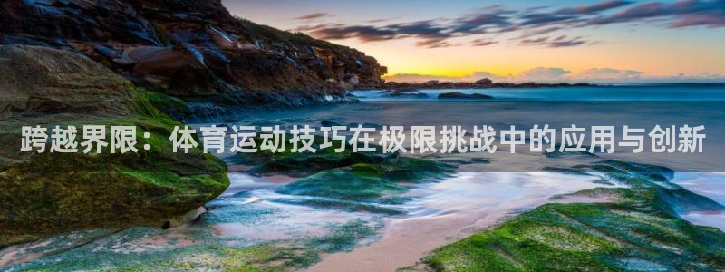 球进体育吧