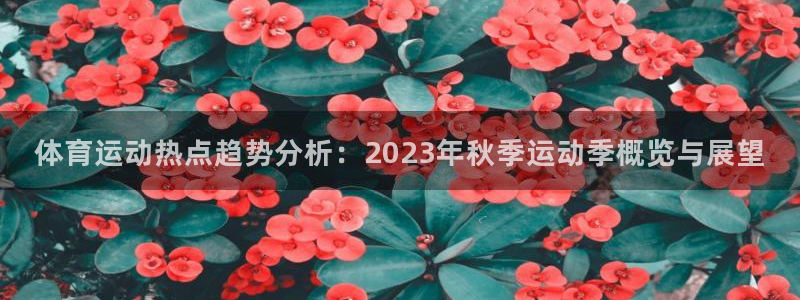 关键词