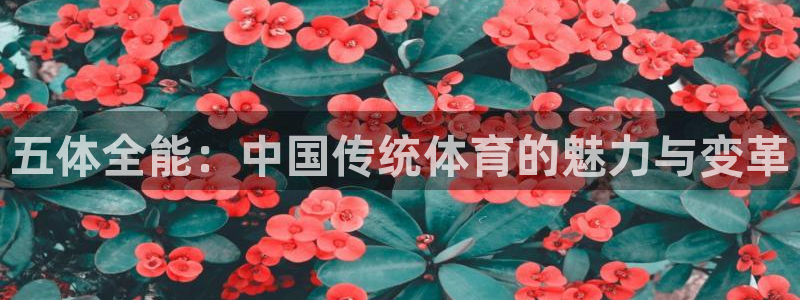球进体育