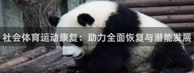 球进体育app下载：社会体育运动康复：助力全面恢复与潜能发展
